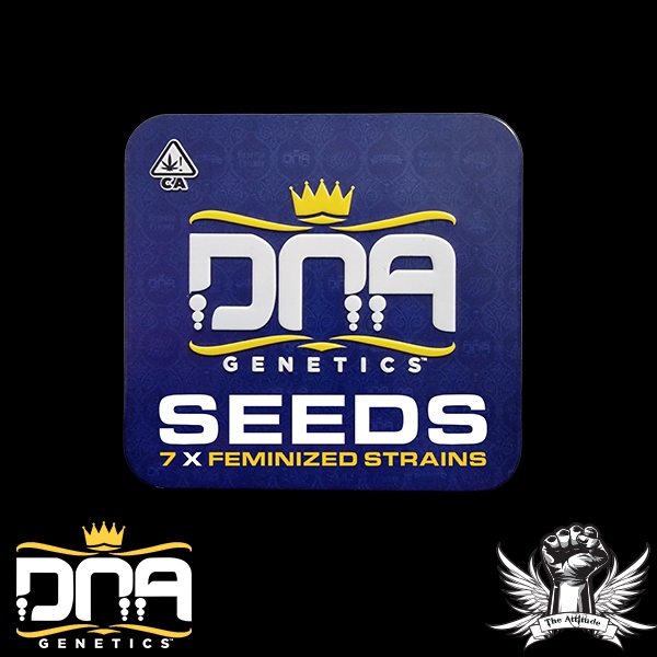 DNA Genetics Seeds The Return of Chocolope Collectors Pack