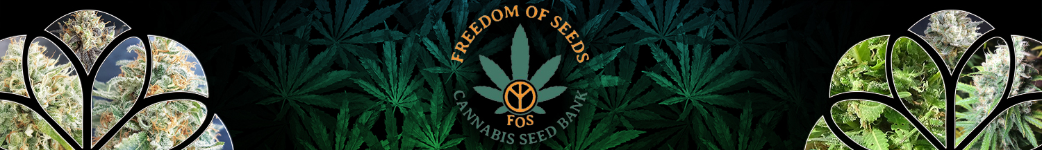 Freedom Of Seeds
