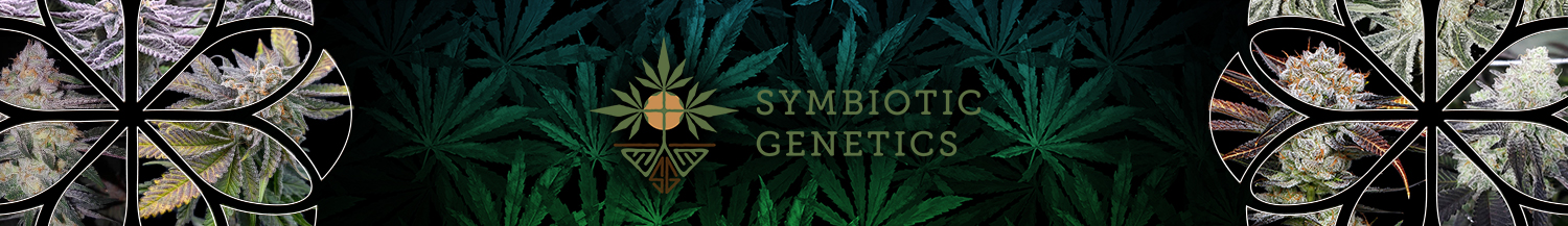Symbiotic Genetics Seeds