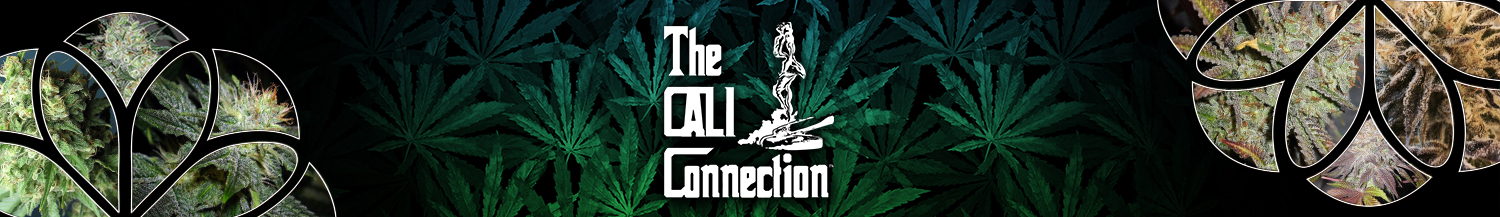 Cali Connection Seeds