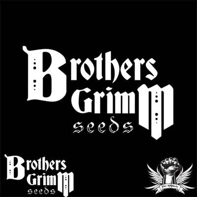 Brothers Grimm Seeds Durban Nights XX