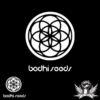 Bodhi Seeds Soul Mate