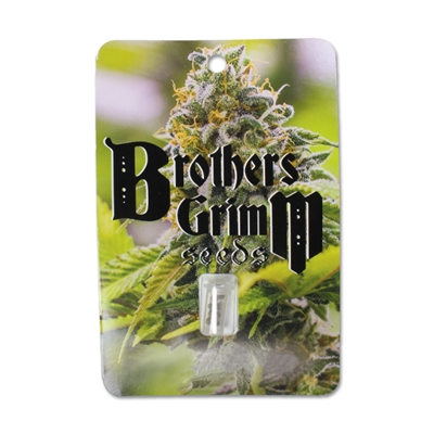 brothers grim seeds packaging 1_400x400.jpg