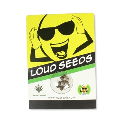 loud seeds packaging_400x400.jpg