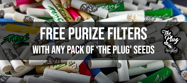 Free Purize Filters With The Plug Orders