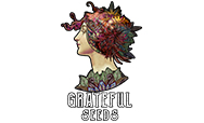 Grateful Seeds 