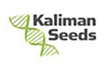 Kaliman Seeds