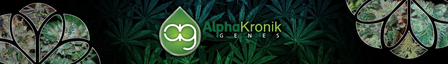 AlphaKronik Genes Seeds