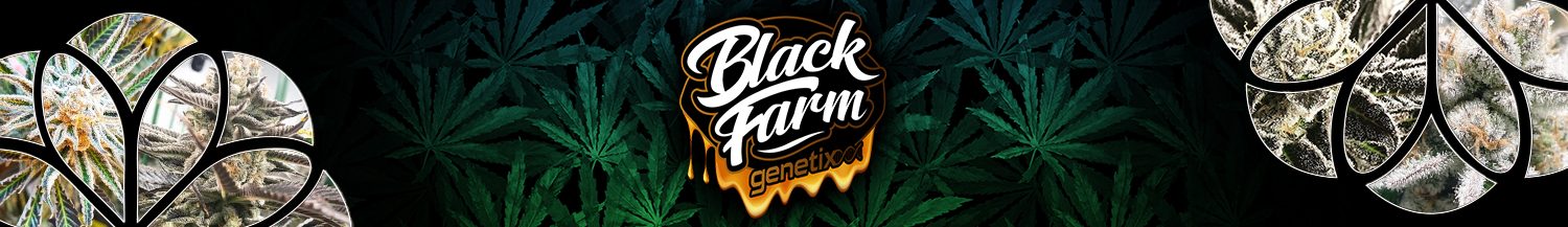 Black Farm Genetix
