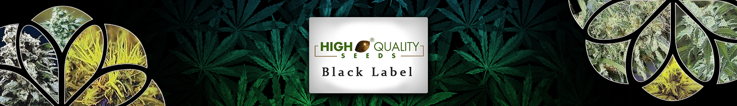 Black Label Seeds
