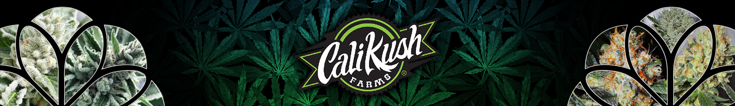 Cali Kush Farms Genetics