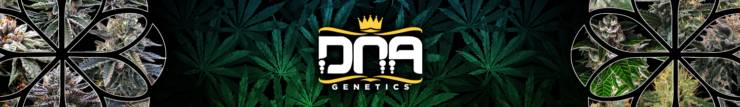 DNA Genetics Seeds