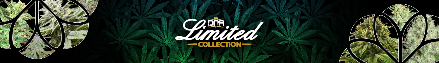 DNA Genetics Seeds Limited Collection