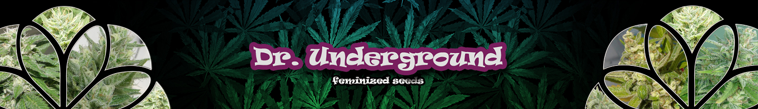 Dr. Underground Seeds
