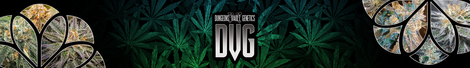 Dungeon Vault Genetics Seeds