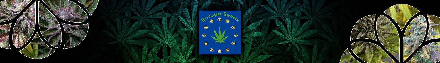 Europa Seeds