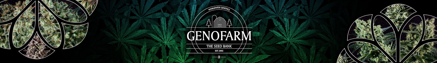 Genofarm Seeds