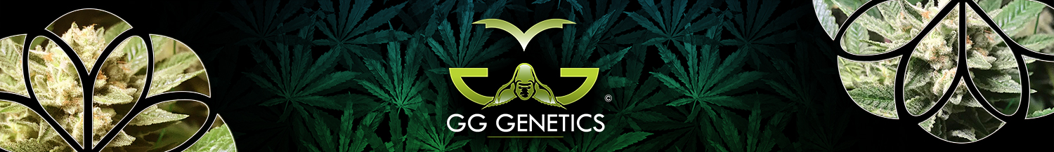 GG Genetics
