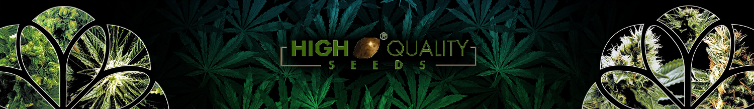 High Quality Seeds