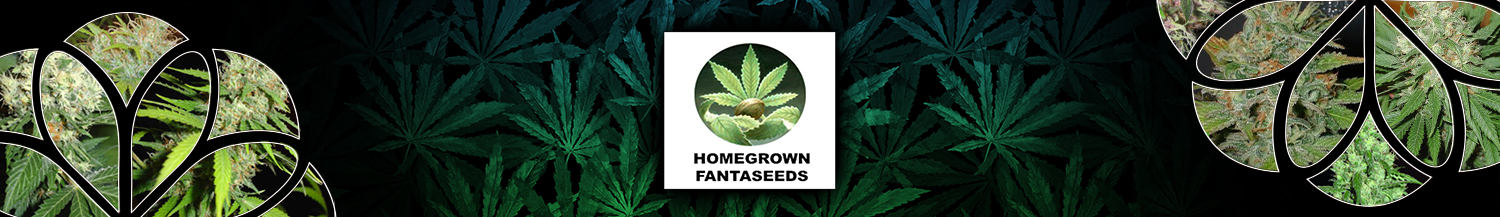 Homegrown Fantaseeds (Cann a game)