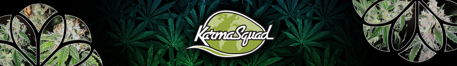 Karma Squad Seeds