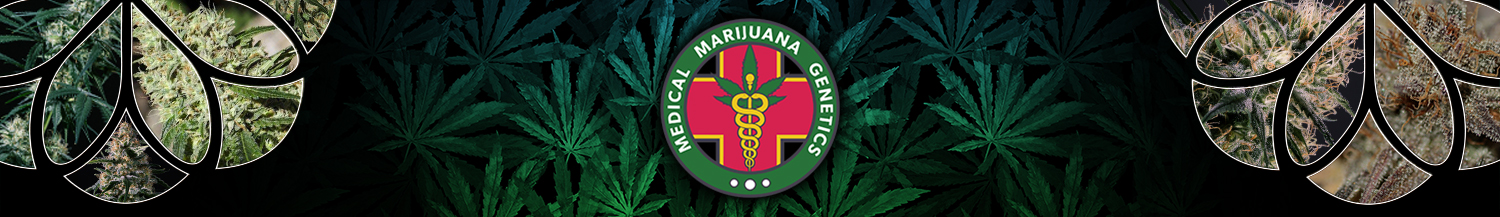 Medical Marijuana Genetics Seeds