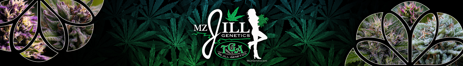 TGA Mz Jill Genetics