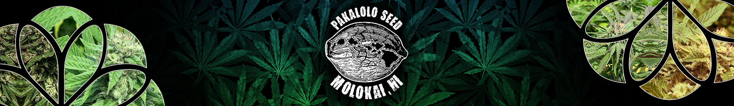 Pakalolo Seed