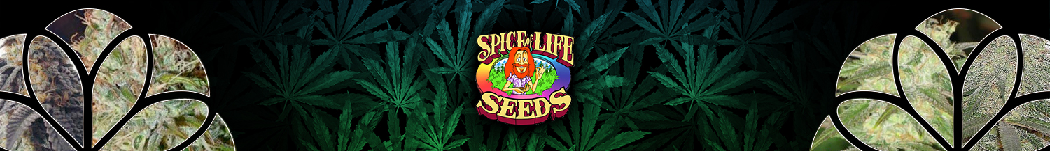 Spice of Life Seeds