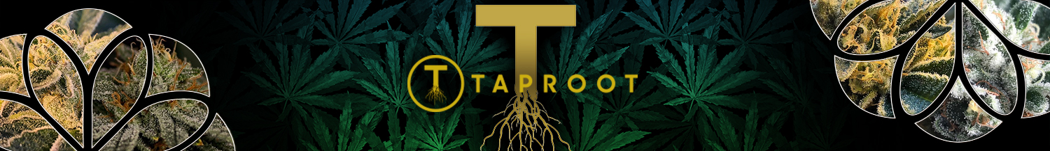 Taproot Seed Co.