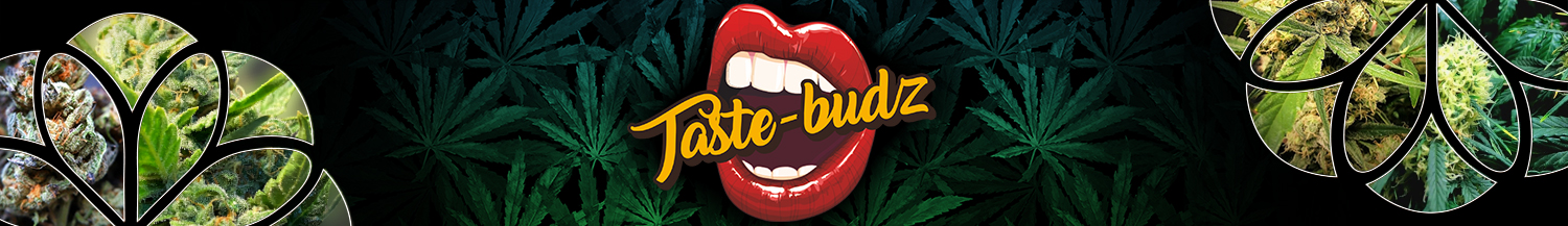 Taste-Budz Seeds