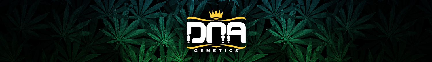 DNA Genetics Apparel 