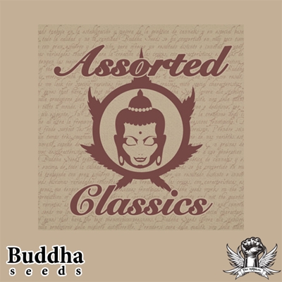 attitude buddha seeds assorted classics_400x400.jpg