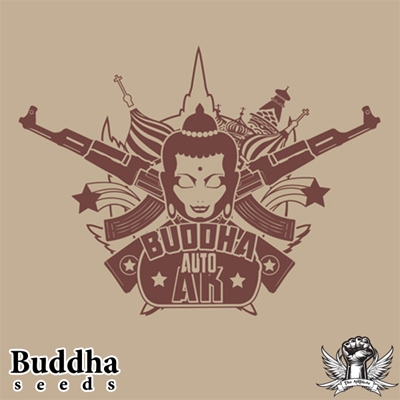 attitude buddha seeds auto ak_400x400.jpg