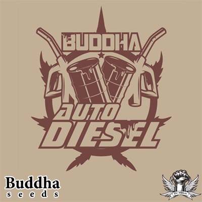 attitude buddha seeds auto diesel_400x400.jpg
