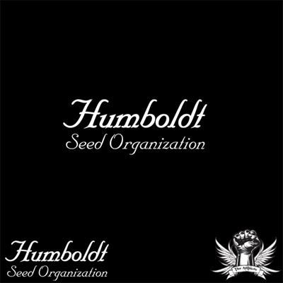 Humboldt Seed Organization Cinnamon Buddha OG