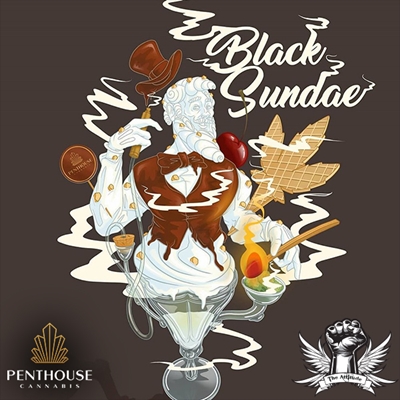 attitude penthouse black sundae_400x400.jpg