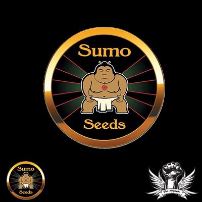 Sumo Seeds Canadian Sour