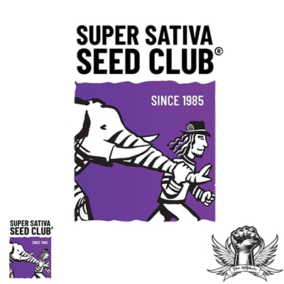 Super Sativa Seed Club Creamy Kees