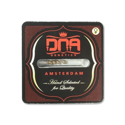 dna limited edition_400x400.jpg