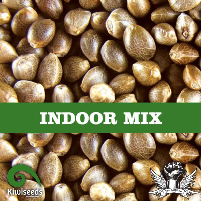 Kiwi Seeds Indoor Mix