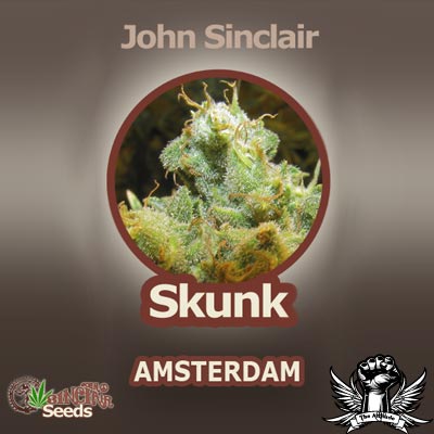 John Sinclair Seeds Amsterdam