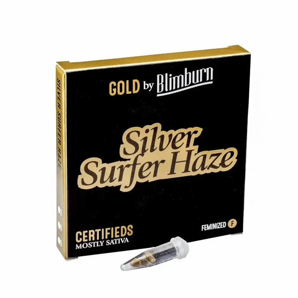 silver surfer haze_600x600.png