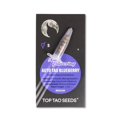top tao seeds auto tao blueberry_400x400.jpg