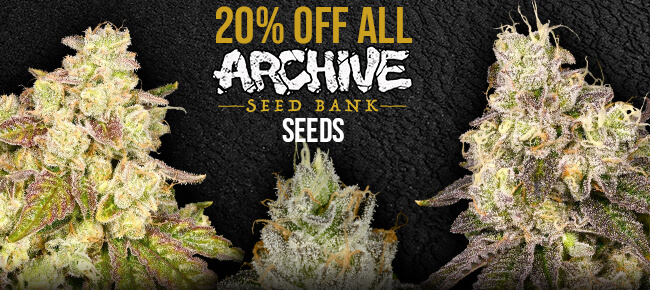 Archive Seeds 20% off