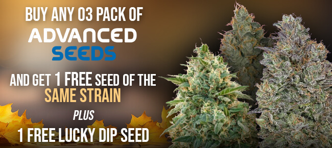 Advanced Seeds Free Seed plus Lucky Dip