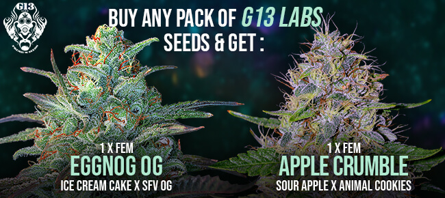G13 Labs - 2 Free Seeds 