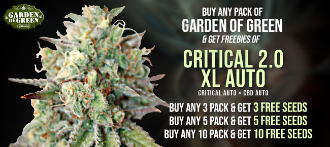 Garden of Green - Critical 2.0 XL Auto