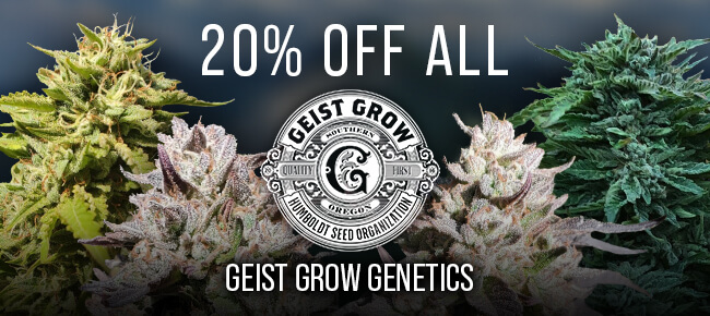 Geist Grow Genetics 20 OFF