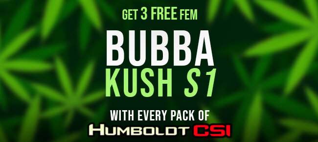 Humboldt CSI - Bubba Kush S1